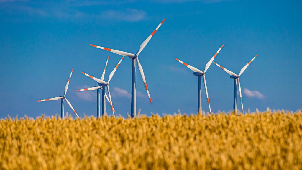 Is Renewable Energy Really Replacing Fossil Fuels?